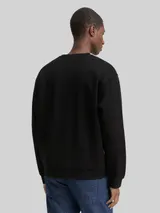 TOM TAILOR DENIM Herren Sweatshirt mit Logo-Badge, schwarz, Uni – Bild 5