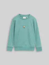 TOM TAILOR Jungen Glow-in-the-Dark Sweatshirt mit Rückenprint, grün, Uni – Bild 3