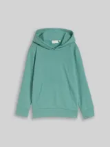 TOM TAILOR Jungen Hoodie Sweatshirt mit Rückenprint, grün, Uni – Bild 3
