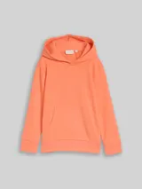 TOM TAILOR Jungen Hoodie Sweatshirt mit Rückenprint, orange, Uni – Bild 3