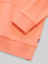 TOM TAILOR Jungen Hoodie Sweatshirt mit Rückenprint, orange, Uni – Bild 4