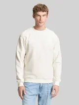 TOM TAILOR DENIM Herren Sweatshirt aus Baumwolle, weiß, Uni – Bild 4