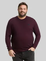 TOM TAILOR Herren Plus Size - Langarmshirt mit Logo-Badge, rot, Meliert – Bild 4