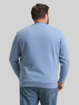 TOM TAILOR Herren Plus Size - Sweatshirt mit Logo-Print, blau, Uni – Bild 5