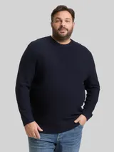 TOM TAILOR Herren Plus Size - Strickpullover mit Rundhalsausschnitt, blau, Uni – Bild 4