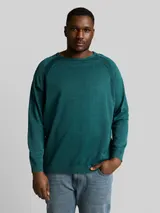 TOM TAILOR Herren Plus Size - Strickpullover aus Baumwolle, grün, Uni – Bild 4