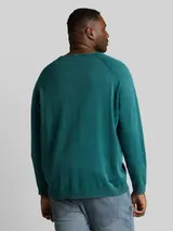 TOM TAILOR Herren Plus Size - Strickpullover aus Baumwolle, grün, Uni – Bild 5