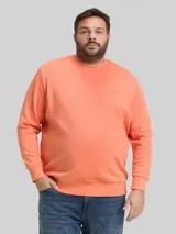 TOM TAILOR Herren Plus Size - Sweatshirt mit Logo-Print, rot, Uni – Bild 4
