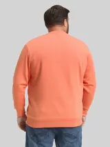 TOM TAILOR Herren Plus Size - Sweatshirt mit Logo-Print, rot, Uni – Bild 5