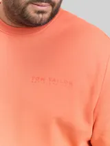TOM TAILOR Herren Plus Size - Sweatshirt mit Logo-Print, rot, Uni – Bild 6