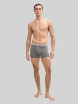 TOM TAILOR Herren Mittellange Boxershorts im 2er-Pack, blau, Print – Bild 4