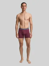 TOM TAILOR Herren Kurze Boxershorts im 2er-Pack, rot, Gestreift – Bild 4