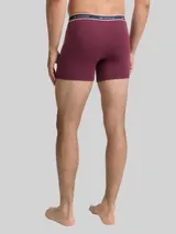 TOM TAILOR Herren Kurze Boxershorts im 2er-Pack, rot, Gestreift – Bild 5