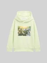 TOM TAILOR Jungen Hoodie Sweatshirt mit Foto-Print, grün, Uni – Bild 1