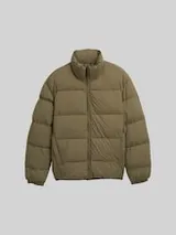 TOM TAILOR DENIM Herren Lightweight Pufferjacke mit Stehkragen, grün, Uni – Bild 1