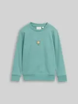 TOM TAILOR Jungen Glow-in-the-Dark Sweatshirt mit Rückenprint, grün, Uni – Bild 1