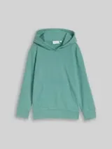 TOM TAILOR Jungen Hoodie Sweatshirt mit Rückenprint, grün, Uni – Bild 1