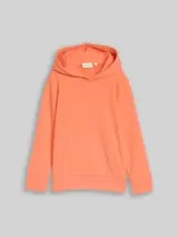 TOM TAILOR Jungen Hoodie Sweatshirt mit Rückenprint, orange, Uni – Bild 1