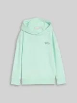TOM TAILOR Jungen Oversize Hoodie Sweatshirt mit Rückenprint, grün, Uni – Bild 1
