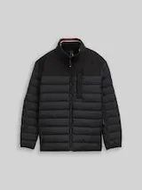 TOM TAILOR Herren Plus Size - Hybrid Steppweste mit Stehkragen, schwarz, Uni – Bild 1