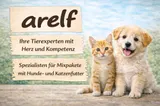 Landfleisch Classic 20 x 400 g | Garantierter 10-Sorten-Mix | Hundefutter – Bild 4