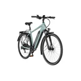 E-Bike Trekking FISCHER VIATOR 2.1 28 Zoll, RH 55 cm, 459 Wh grün Elektrorad – Bild 4