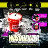 Autowäsche Set Profi Autopflege 20L Eimer SONAX Detailer Felgenbeast Bürste – Bild 4