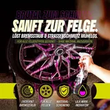 Autowäsche Set Profi Autopflege 20L Eimer SONAX Detailer Felgenbeast Bürste – Bild 3