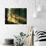 Leinwand Bilder Wald Natur Wanddeko Wandbilder Groß Leinwandbild XXL Bilder – Bild 2