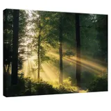 Leinwand Bilder Wald Natur Wanddeko Wandbilder Groß Leinwandbild XXL Bilder – Bild 1