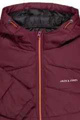 Jack & Jones Steppjacke Winterjacke Anorak Herren Gefüttert Globus Light Puffer – Bild 4
