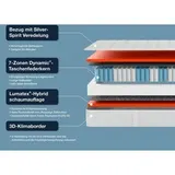 Hn8 Matratze B-Ware 7-Zonen-Taschenfederkern Dynamic TFK ca. 25 cm ♻️ – Bild 5