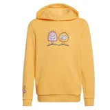 adidas Originals X Kevin Lyons Kinder Hoodie Kapuzenpullover Sweatshirt Monster – Bild 1