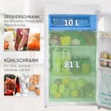 91L Kühlschrank mit Gefrierfach 81L+10L Kleiner Kühlschrank mit Gemüsefach – Bild 5