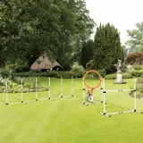 PawHut 3-teiliges Hunde Agility Set für Haustiere, Hundetrainingsset mit Tragetasche, leicht zu transportieren, Kunststoff in Weiß und Gelb   Aosom.de – Bild 3