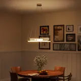 HOMCOM LED Pendelleuchte, Hängelampe mit verstellbaren Armen, moderner 50 W Kronleuchter Pendellampe für Wohnzimmer, Esszimmer, Küche, Gold   Aosom – Bild 3