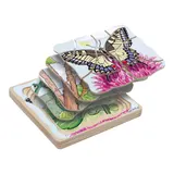 Beleduc Lagen-Puzzle Schmetterling – Bild 1