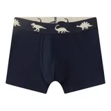 Sanetta 3er-Pack Boxershorts Dinos – Bild 4