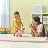 Vtech Baby Krabbel-mit-mir-Hündchen – Bild 1
