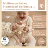 Bieco Activity Planet Oat – Bild 1