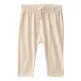 Carter's 3-tlg. Set Body kurzarm, Jacke und Jogginghose Bären – Bild 1