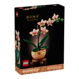 Lego® Botanicals 10343 Mini-Orchidee – Bild 3