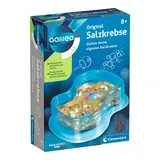 Clementoni Galileo Original Salzkrebse – Bild 3