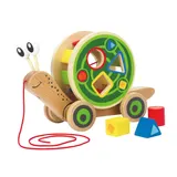 Hape Nachziehspielzeug Schnecke aus Holz – Bild 3
