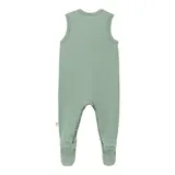 Bornino Wild Nature Strampler-Set 2-tlg. mit Body Dino – Bild 5