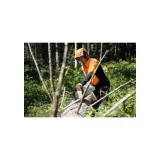STIHL Helmset, ADVANCE X-Vent ProCOM – Bild 6