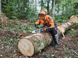 STIHL Helmset DYNAMIC Light – Bild 3