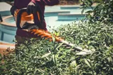 STIHL HSA 140 T Grundgerät / 60 cm – Bild 5