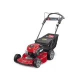 Toro Recycler Rasenmäher – Bild 1
