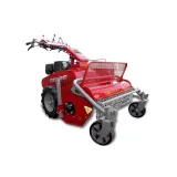 Weibang WB GT 6813 TE Schlegelmäher – Bild 1